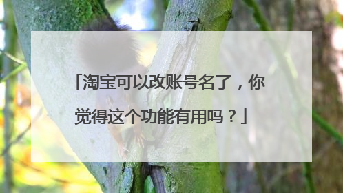 淘宝可以改账号名了,你觉得这个功能有用吗?
