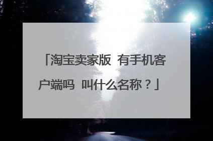 淘宝卖家版 有手机客户端吗 叫什么名称?
