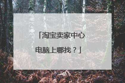 淘宝卖家中心电脑上哪找?
