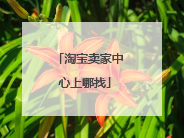淘宝卖家中心上哪找