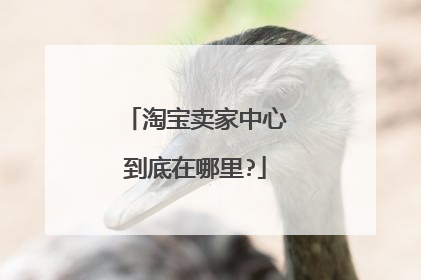 淘宝卖家中心到底在哪里?