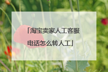 淘宝卖家人工客服电话怎么转人工