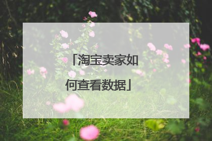 淘宝卖家如何查看数据