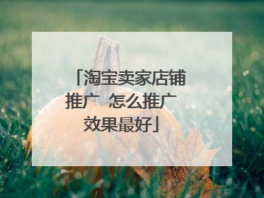 淘宝卖家店铺推广 怎么推广效果最好