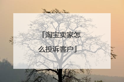 淘宝卖家怎么投诉客户