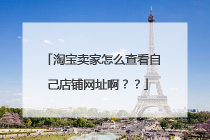 淘宝卖家怎么查看自己店铺网址啊？？