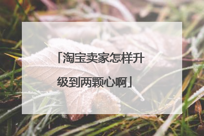 淘宝卖家怎样升级到两颗心啊
