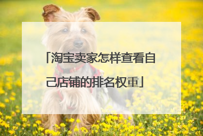 淘宝卖家怎样查看自己店铺的排名权重