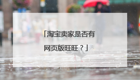 淘宝卖家是否有网页版旺旺？
