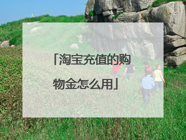 淘宝充值的购物金怎么用