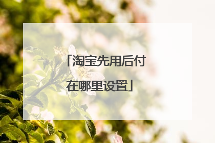 淘宝先用后付在哪里设置
