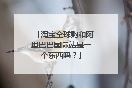淘宝全球购和阿里巴巴国际站是一个东西吗?