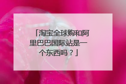 淘宝全球购和阿里巴巴国际站是一个东西吗？