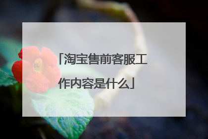 淘宝售前客服工作内容是什么