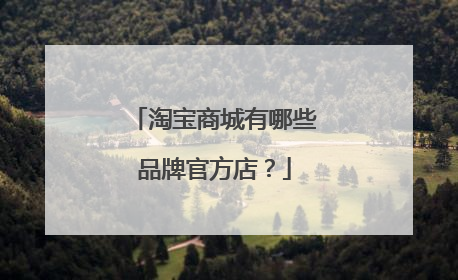 淘宝商城有哪些品牌官方店?