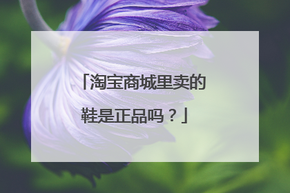 淘宝商城里卖的鞋是正品吗?
