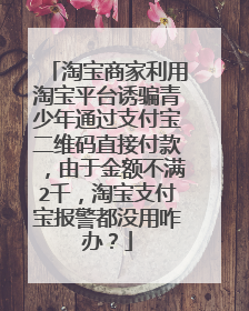 淘宝商家利用淘宝平台诱骗青少年通过支付宝二维码直接付款,由于金额不满2千,淘宝支付宝报警都没用咋办?