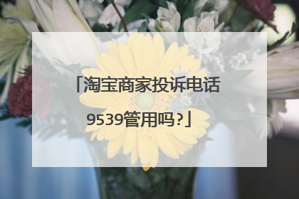 淘宝商家投诉电话9539管用吗?