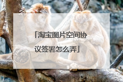 淘宝图片空间协议签署怎么弄