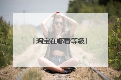 淘宝在哪看等级