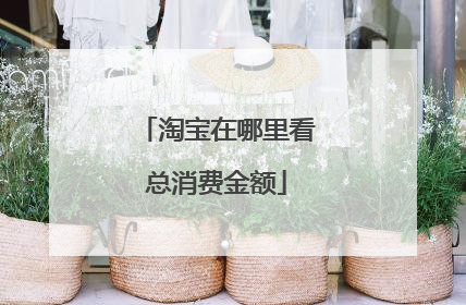 淘宝在哪里看总消费金额