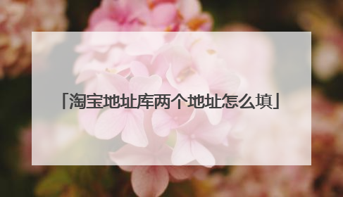 淘宝地址库两个地址怎么填