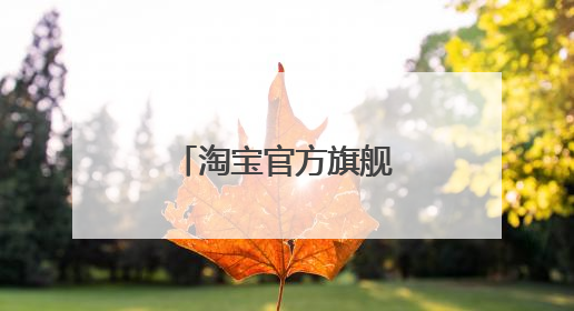 淘宝官方旗舰店是什么意思