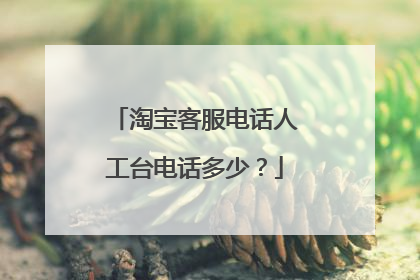 淘宝客服电话人工台电话多少?