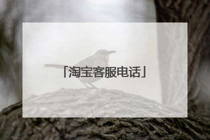 淘宝客服电话