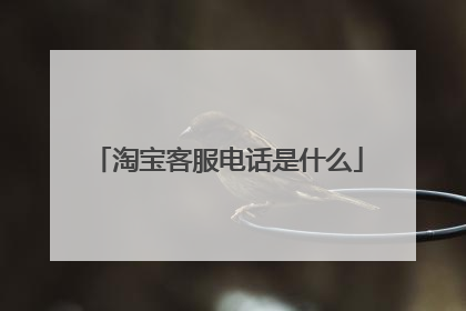 淘宝客服电话是什么