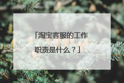 淘宝客服的工作职责是什么?