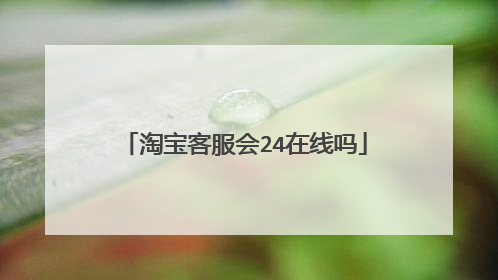淘宝客服会24在线吗