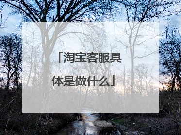 淘宝客服具体是做什么