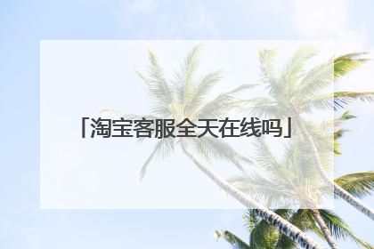 淘宝客服全天在线吗