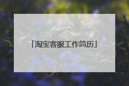 淘宝客服工作简历
