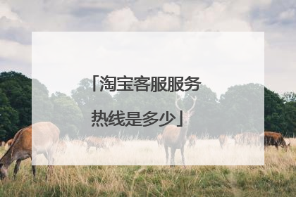 淘宝客服服务热线是多少