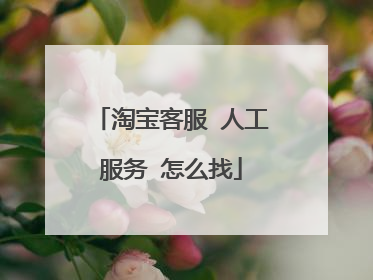 淘宝客服 人工服务 怎么找