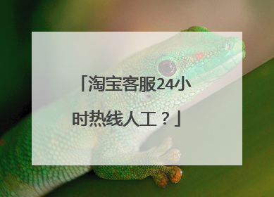 淘宝客服24小时热线人工?