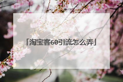 淘宝客60引流怎么弄