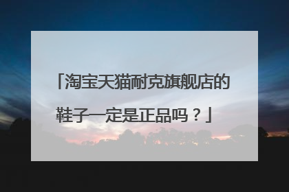 淘宝天猫耐克旗舰店的鞋子一定是正品吗?