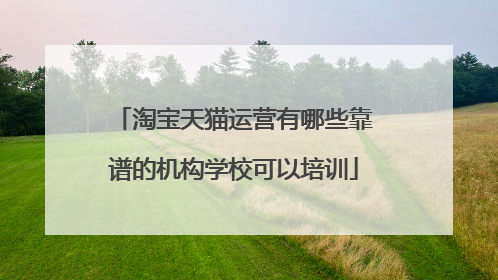 淘宝天猫运营有哪些靠谱的机构学校可以培训