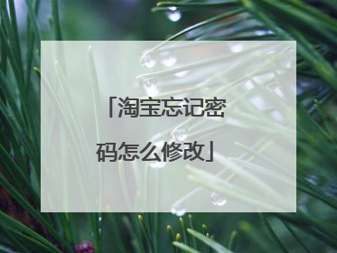 淘宝忘记密码怎么修改