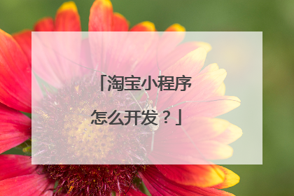 淘宝小程序怎么开发?