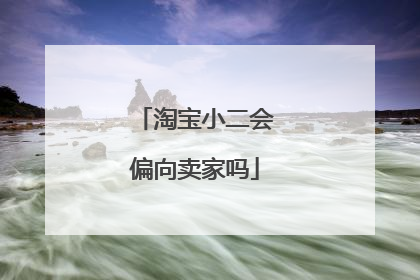 淘宝小二会偏向卖家吗