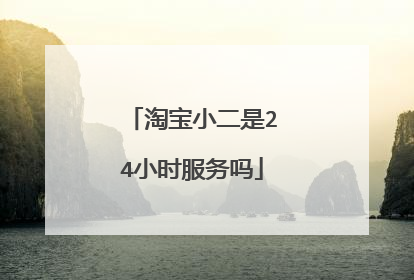 淘宝小二是24小时服务吗