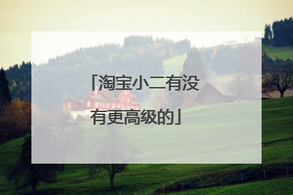 淘宝小二有没有更高级的