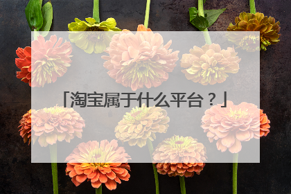 淘宝属于什么平台？
