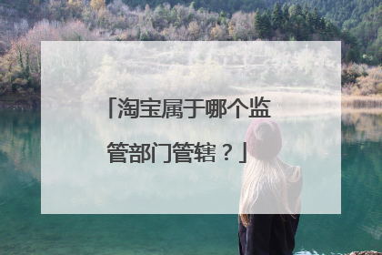 淘宝属于哪个监管部门管辖?