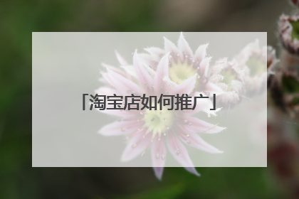 淘宝店如何推广
