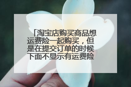 淘宝店购买商品想运费险一起购买,但是在提交订单的时候下面不显示有运费险的选项,怎么办?